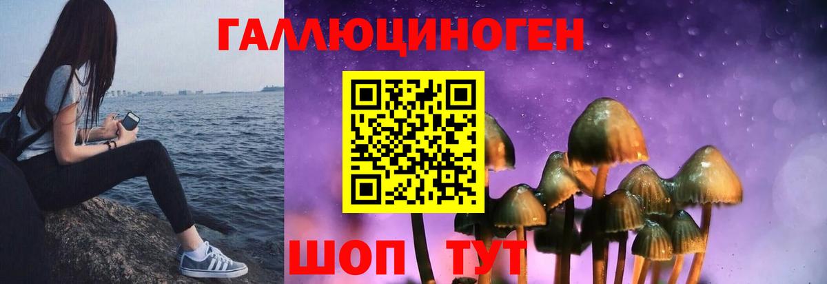 закладки  Вход с VPN  Кубинка  Псилоцибиновые грибы Cubensis 
